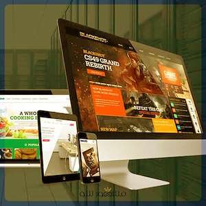 گروه مشهور شو خدمات طراحی سایت ارزان و موثر